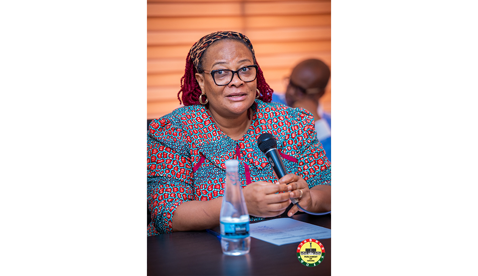 Ms. Mary Addah speaking during the meeting 